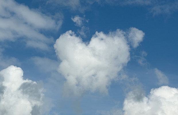 copyright W. Wassermann