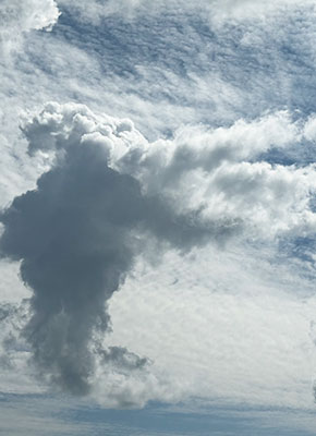 copyright W. Wassermann