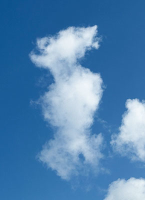 copyright W. Wassermann