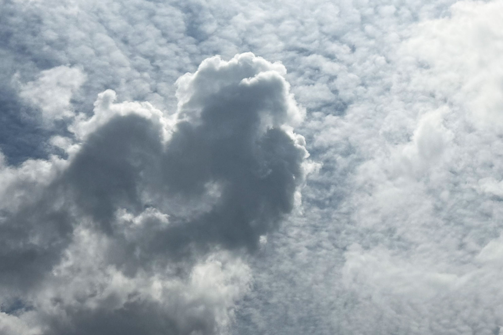 Wolke 0014 - copyright W. Wassermann, Wolkenbilder, Gedankengut24.de